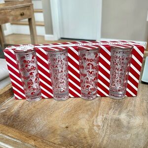 Set of 4 Tall Christmas Shot Glasses